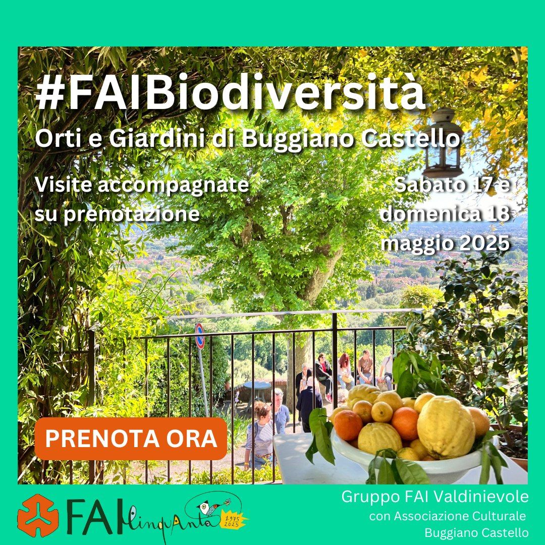 🚶Tornano le passeggiate #FAIBiodiversità tra gli orti e giardini privati di Buggiano Castello (PT)🍊
🏰 Gli abitanti del borgo medioevale aprono i cancelli dei caratteristici giardini di agrumi e gli orti segreti ai visitatori e Iscritti FAI aperti in occasione del fine settimana che il FAI dedica alla biodiversità in tutta Italia.
🌺 La tradizione degli orti-giardino a Buggiano Castello affonda le radici in tempi remoti, essendo già documentati nel Catasto del Comune del 1427. Sono coltivati in prevalenza con piante aromatiche e ornamentali, ma fra esse spiccano gli agrumi, una presenza particolare nella Toscana delle colline preappenniniche: il microclima di Buggiano, mitigato dall’esposizione a sud del paese e dalla presenza delle acque del vicino Padule di Fucecchio, ha permesso agli agrumi di trovare qui un habitat particolarmente favorevole. Un racconto unico di biodiversità, storia e tradizioni tra piante e fiori che i proprietari stessi vi racconteranno durante la visita. Buggiano Castello è un simbolo di giardineria storica e di tutela della biodiversità che concilia il verde pubblico e privato con un patrimonio botanico originale per l'intero centro Italia.
📅 Visite accompagnate su prenotazione online con contributo in loco a partire da 12€ per Iscritti FAI e 15€ per visitatori non iscritti.
Orario inizio delle visite:
sabato 17 maggio: 14:30 / 15:00 / 15:30
domenica 18 maggio: 10:00 / 10:30 / 14:30 / 15:00 / 15:30
💻 Le prenotazioni sono aperte
GRAZIE A @faivaldinievole