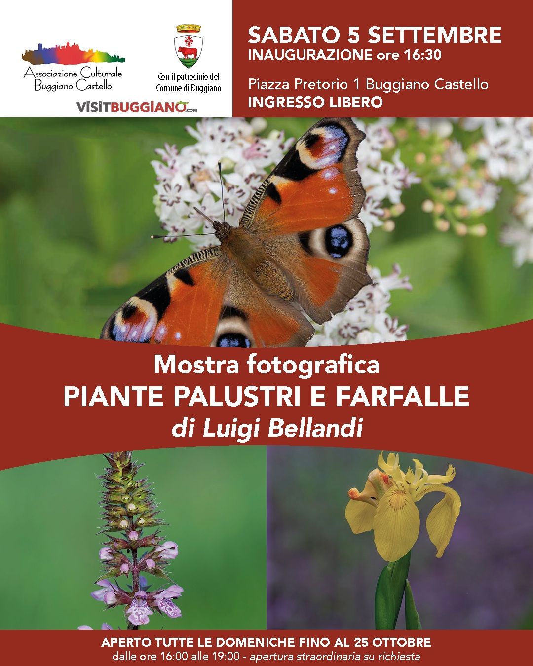Sabato 5 settembre alle ore 16,30 presso il Palazzo Pretorio di Buggiano Castello si terrà l'Inaugurazione della mostra fotografica di Luigi Bellandi dal titolo 'Piante palustri e Farfalle'.
La mostra sarà poi aperta tutte le domeniche pomeriggio fino al 25 ottobre.
Organizzata dall'Associazione Buggiano Castello APS con il patrocinio del Comune di Buggiano. @visitbuggiano @borgo_a_buggiano @comune_di_buggiano @bibliobuggiano